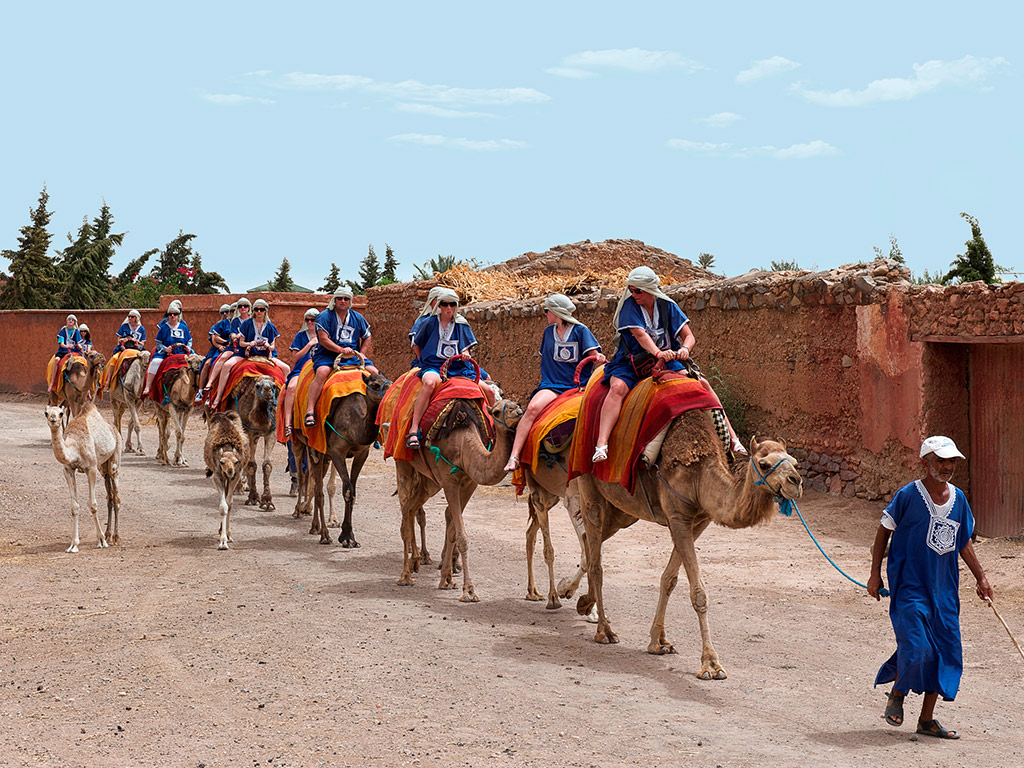 Activités-Marrakech-Balade-en-dromadaire-à-Marrakech